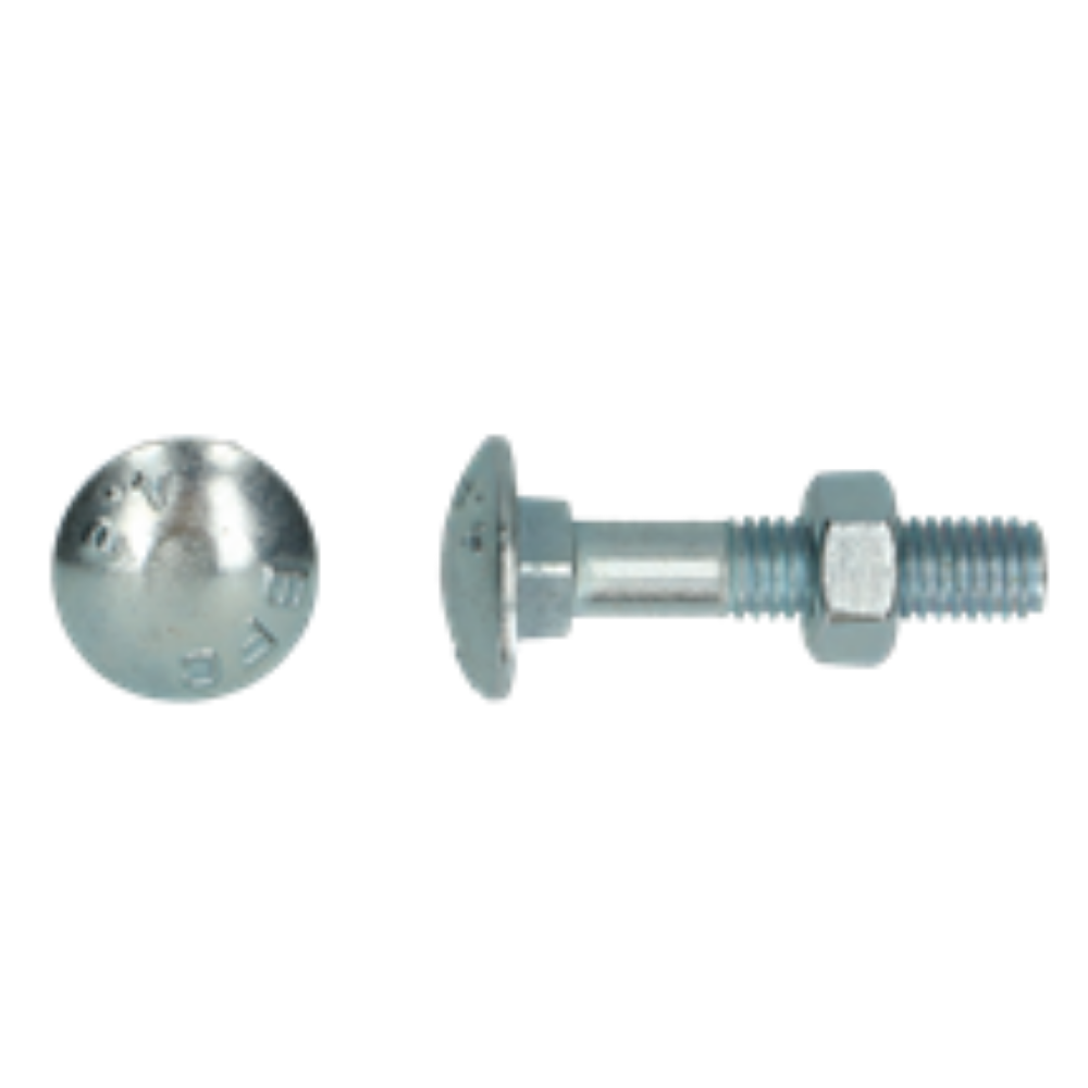Houtbout 4.8 Din 603/555 M 12x100 Zn