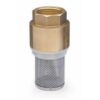 Voetklep in messing inox zeef                                2"