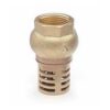 Voetklep in messing met filter                               3/4 V